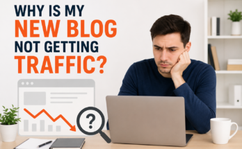Why Is My New Blog Not Getting Traffic